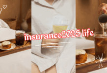Insurance2025 Life with Navigating the best in the world insurance2025