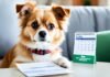 Buy Pet Insurance Online – Protect Your Furry Friend Today buy pet insurance online