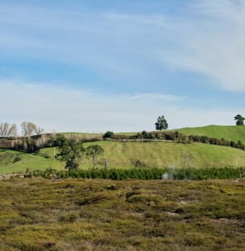 Insurance2025 Life on A Comprehensive Outlook :The Future of Protection